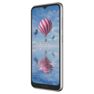 Bluebird SF650, 16,5 cm (6,5''), GPS, USB-C, BT (BLE, 5.1), WiFi, 4G, NFC, Android, GMS, RB